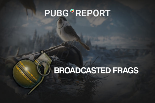 PUBG Report